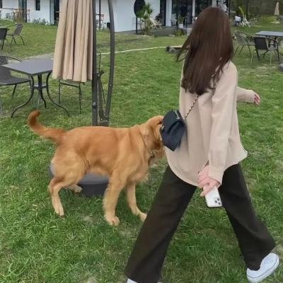 柳下惠